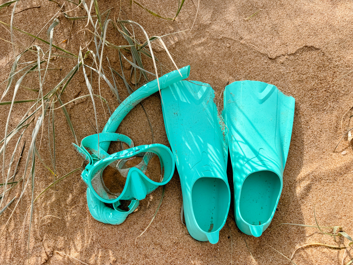 Reef Fins - Aloe