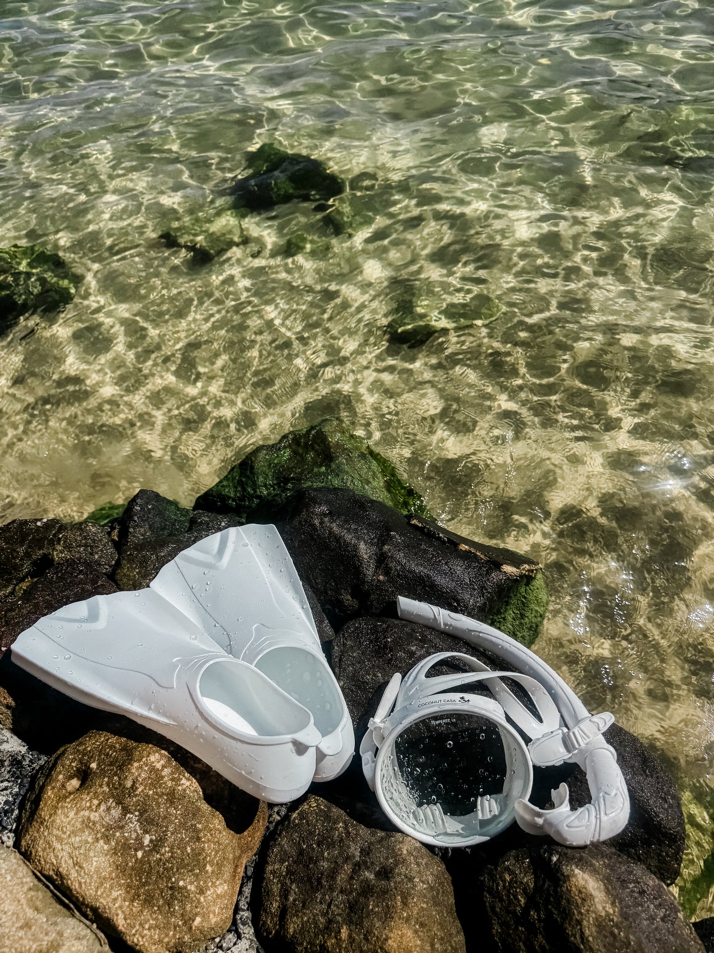 Reef fins - Coconut